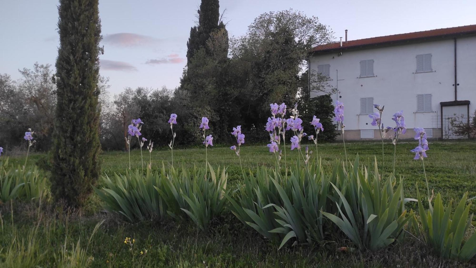 فيلا Borgo Iris Pietraia المظهر الخارجي الصورة