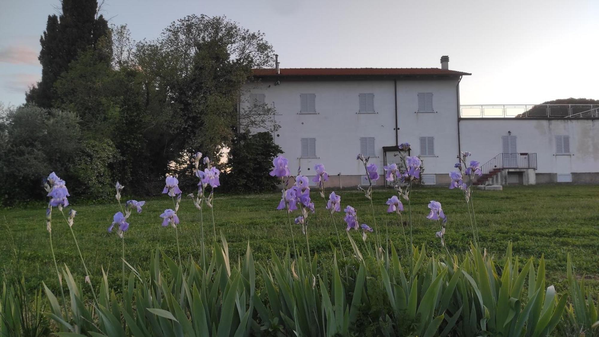 فيلا Borgo Iris Pietraia المظهر الخارجي الصورة