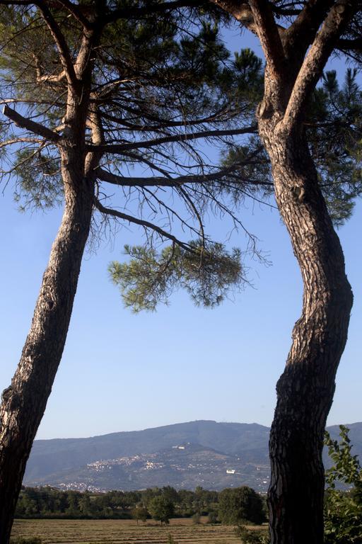فيلا Borgo Iris Pietraia المظهر الخارجي الصورة