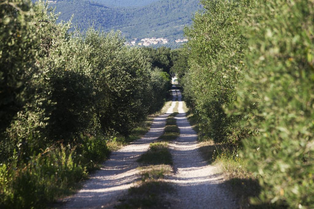 فيلا Borgo Iris Pietraia المظهر الخارجي الصورة