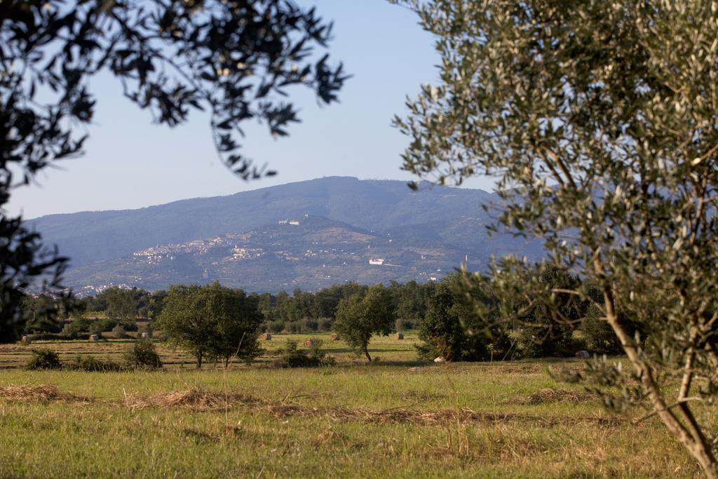 فيلا Borgo Iris Pietraia المظهر الخارجي الصورة