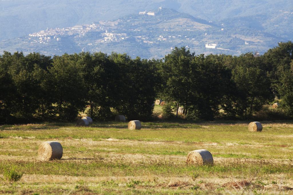 فيلا Borgo Iris Pietraia المظهر الخارجي الصورة